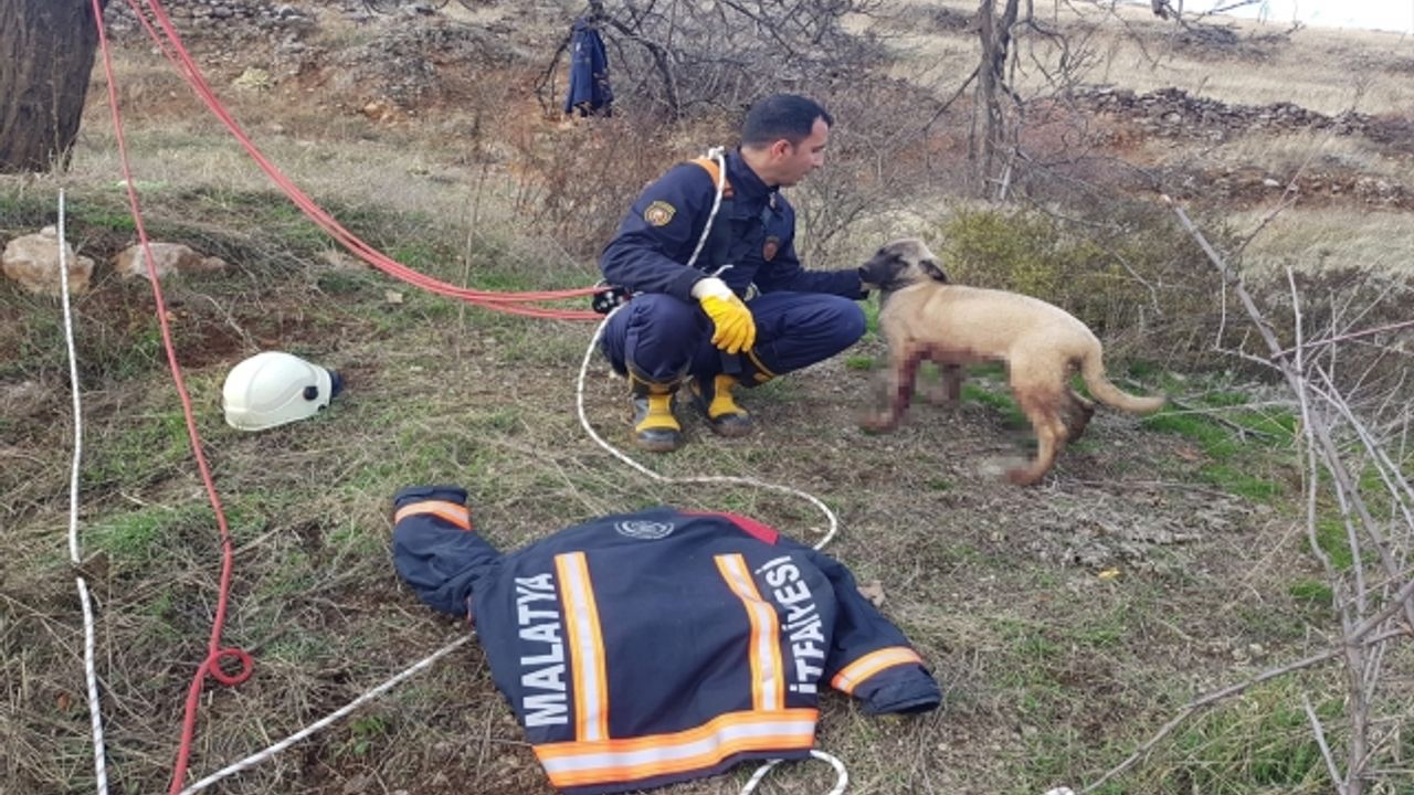Malatya'da kuyuya düşen köpeği itfaiye kurtardı