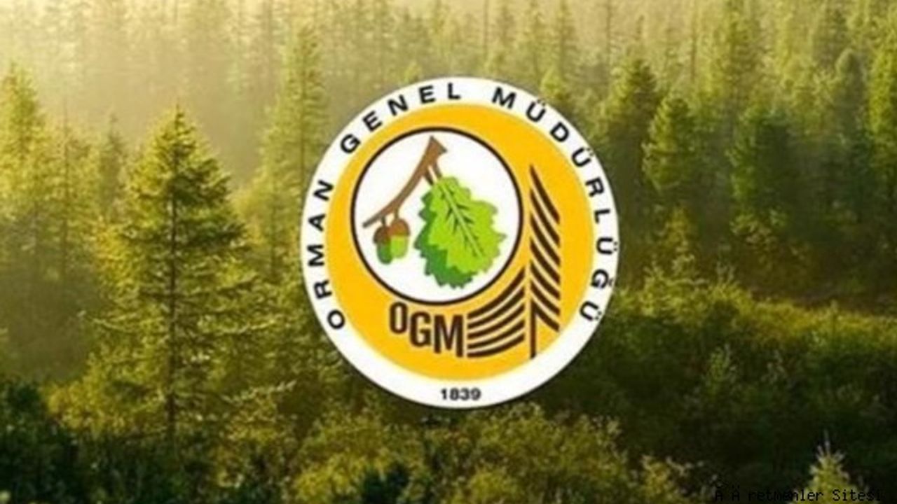 Orman Genel Müdürlüğü (OGM) 141 engelli ve 83 eski hükümlü işçi alacak