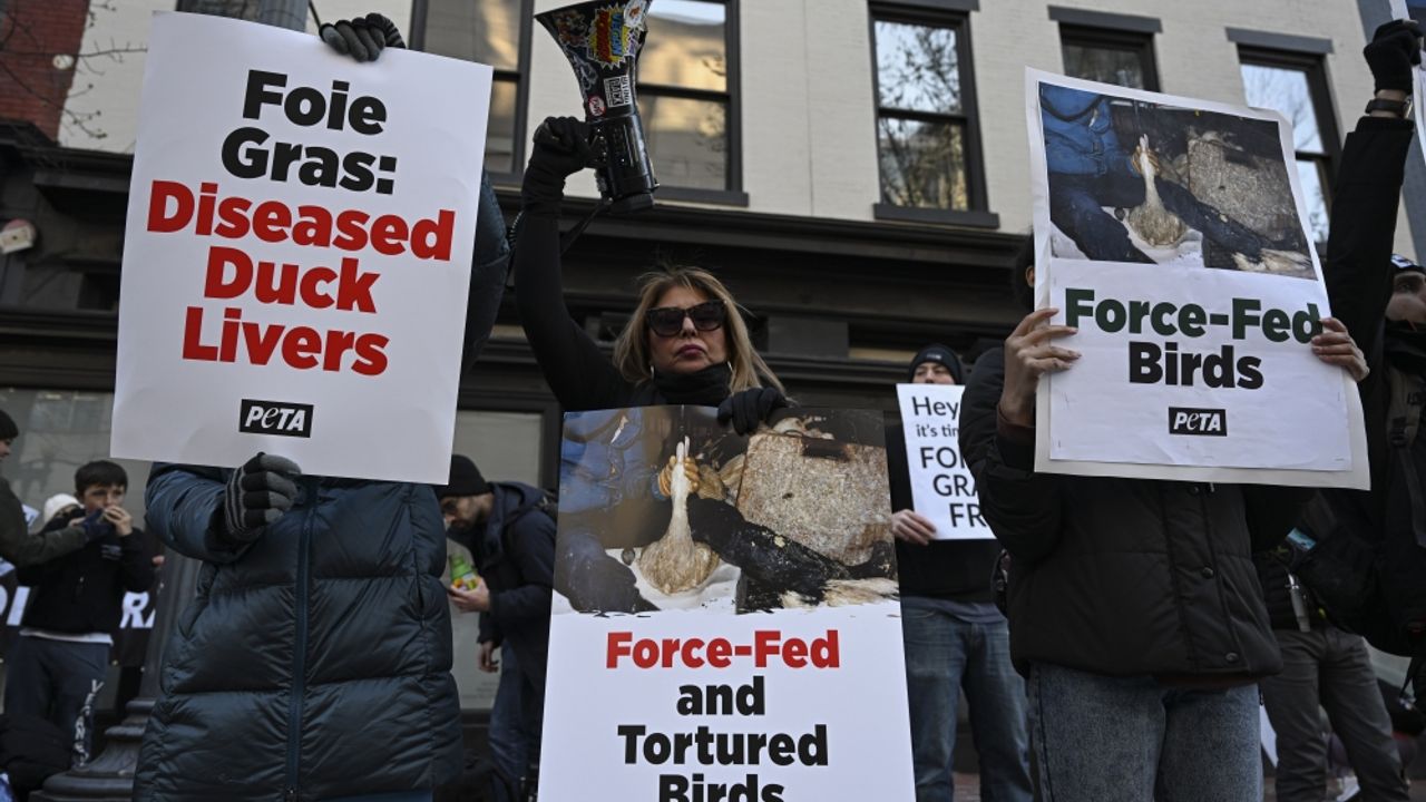 Washington'da işkenceyle beslenen kaz ve ördek ciğerinin satışına protesto