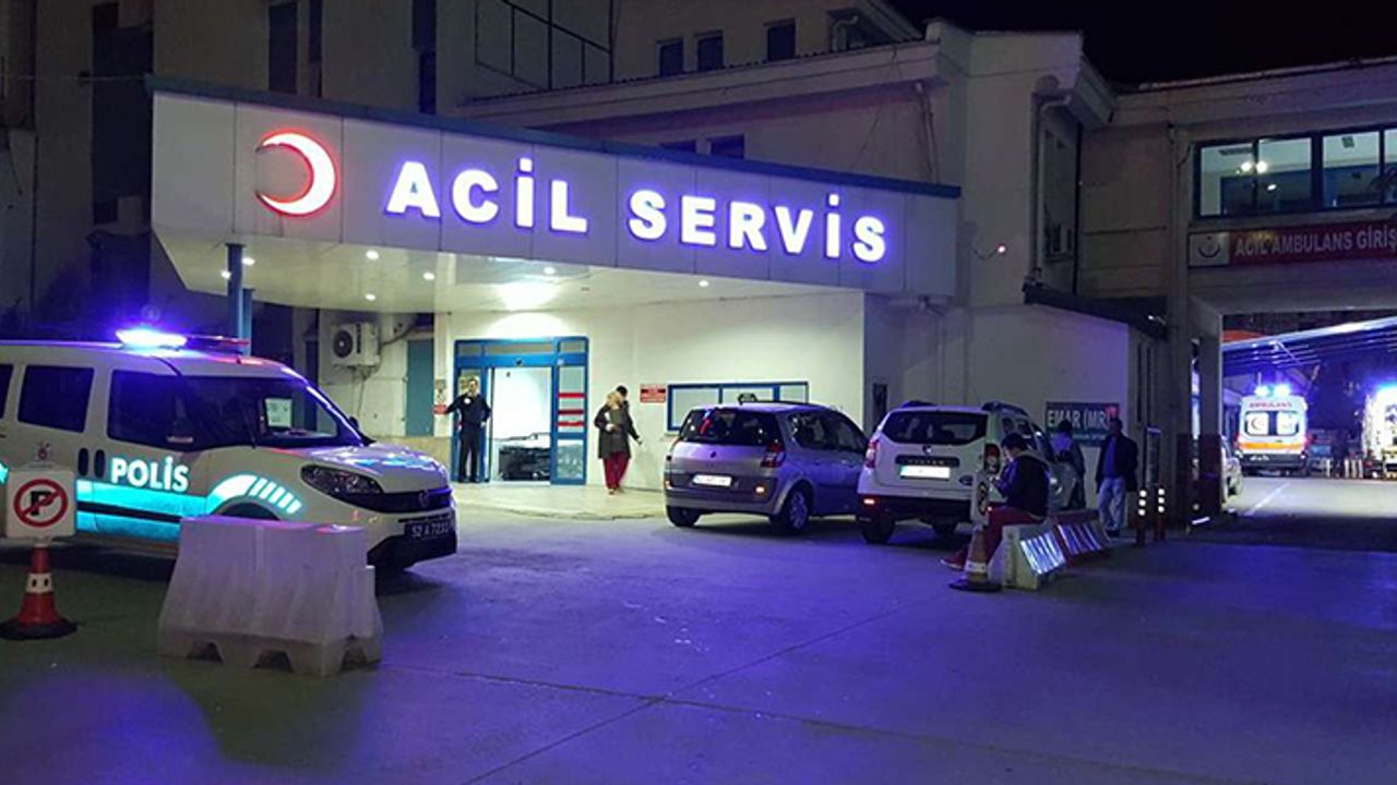 Erzurum'da yıldırım düşmesi sonucu bir kişi hayatını kaybetti