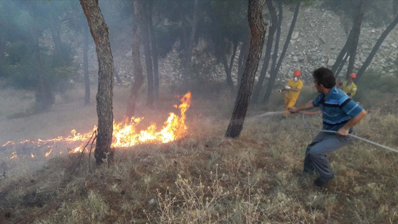 Pendik'te ormanlık alanda yangın çıktı