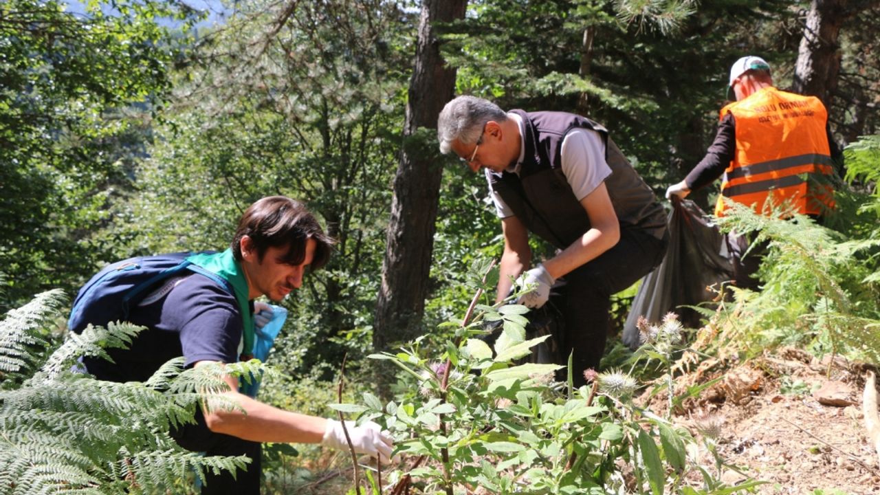 Çevreci gönüllüler Yedigöller Milli Parkı yolunda atık topladı