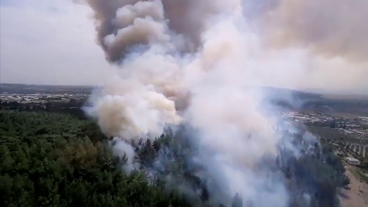 GÜNCELLEME - İzmir'de orman yangını çıktı