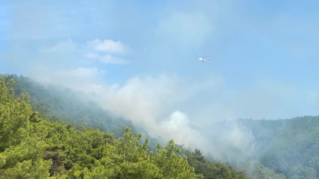 GÜNCELLEME - Kazdağları'ndaki orman yangını kontrol altına alındı