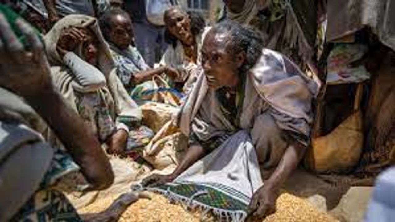 BM: 783 milyon kişi gıdaya erişimde sorun yaşıyor, 47 milyon insan açlığın eşiğinde