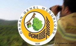 Orman Genel Müdürlüğü OGM Personel Alım İlanı yayınlandı! OGM Kaç personel alacak, başvuru şartları, başvuru tarihleri, hangi meslekten alım yapılacak?