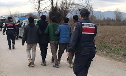 Amasya'da  çöp taşıyan tırın dorsesinde 3 düzensiz göçmen yakalandı