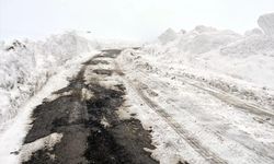 Moldova'da yoğun kar yağışı etkili oldu