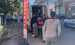 Erzincan'da tır dorsesinde 49 düzensiz göçmen yakalandı