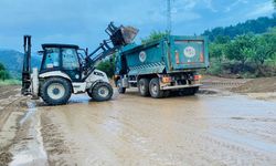 Bilecik'te sağanak hayatı olumsuz etkiledi