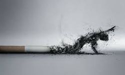 Fransa'da plajlarda ve ormanlarda sigara kullanımı yasaklanacak