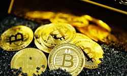 Bitcoin’in fiyatı 69.170 dolarla tarihinin en yüksek seviyesini gördü