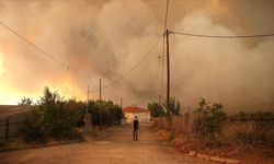 İsrail’in kuzeyinde ormanlık alanda Lübnan’dan atılan füzeler nedeniyle yangın çıktı