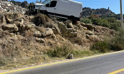 Bodrum'da domuza çarpan kamyonet yol kenarındaki kayalık yamaca çıktı