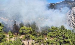 GÜNCELLEME - Antalya'nın Kaş ilçesinde çıkan orman yangını söndürüldü