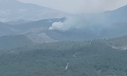 GÜNCELLEME - Manisa'da çıkan orman yangını söndürüldü