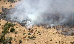 GÜNCELLEME - Sivas'ta otluk ve ağaçlık alanda çıkan yangın söndürüldü