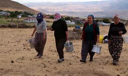 Muş'ta kadınların yayladaki süt sağım mesaisi sürüyor