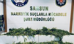 Samsun’daki uyuşturucu operasyonunda 3 zanlı yakalandı