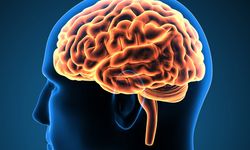Hareket zorluğu ve titreme sorunu olan hastalıklara "beyin pili" çözüm olabilir