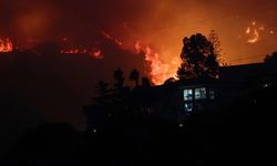 Şili'de devam eden orman yangınlarında yaşamını yitirenlerin sayısı 51'e çıktı