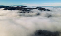 Çam Dağı'nda renk cümbüşüyle bütünleşen sis bulutu dronla görüntülendi