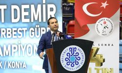Mahmut Demir Büyükler Serbest Güreş Türkiye Şampiyonası'nın açılış töreni yapıldı
