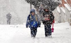 3 ilde okullar yarın tatil kar nedeniyle okulları tatil edilen iller