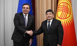 AB Komisyonu Başkan Yardımcısı Schinas, Kırgızistan'da temaslarda bulundu