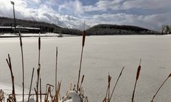 Düzce'deki Topuk Yaylası Göleti buz tuttu