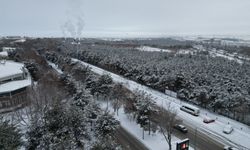Erzurum, Ardahan ve Kars'ta kar yağışı etkisini sürdürüyor