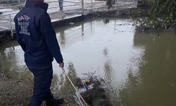 Hatay'da sulama kanalında erkek cesedi bulundu