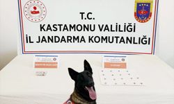 Kastamonu'da düzenlenen uyuşturucu operasyonlarında 5 kişi yakalandı