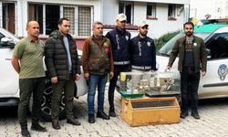 Osmaniye'de istilacı kuş satışı yapan iş yerinin sahibine para cezası