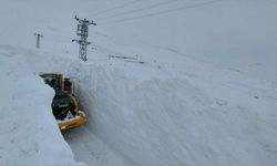 Van, Hakkari ve Muş'ta metrelerce kar altındaki yollarda çalışmalar sürüyor