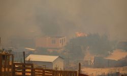 GÜNCELLEME - Şili'de çıkan orman yangınlarında 19 kişi hayatını kaybetti
