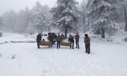Karla kaplanan Kazdağları'na yaban hayvanları için yem bırakıldı