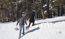 Kars'ta yaban hayvanları için karla kaplı doğaya yem bırakıldı
