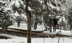 Tahranlılar karın tadını parklarda vakit geçirerek çıkardı