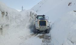 Yüksekova'da metrelerce kar altındaki yollarda çalışmalar sürüyor