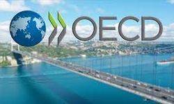 OECD bölgesinde ekonomi 2023'ün son çeyreğinde yüzde 0,4 büyüdü