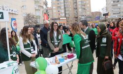 Çankırı'da Yeşilay farkındalık yürüyüşü düzenlendi