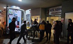 Erzincan’da iki aracın çarpışması sonucu 7 kişi yaralandı