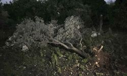 GÜNCELLEME 2 - Antalya'da sağanak, fırtına ve hortum etkili oldu