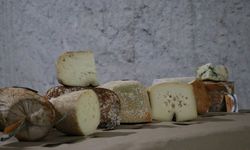 Kayadan oyma depolarda olgunlaştırılan peynirlerin lezzeti yabancıların da dikkatini çekti