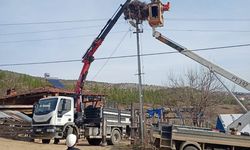Sinop'ta leylekler için elektrik direklerine yapay yuvalar yerleştirildi