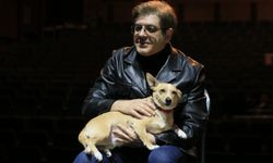 Sokaktan kurtarılan köpek "Şebo" tiyatro sahnesinde