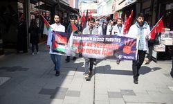 Sakarya'da hekimler ve sağlık çalışanları Gazze için "sessiz" yürüyüşlerini sürdürdü