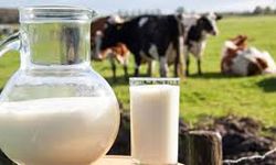 Toplanan inek sütü miktarı şubatta yıllık bazda yüzde 13,1 arttı