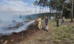Gaziantep'te ormanlık ve makilik alanda çıkan yangın söndürüldü